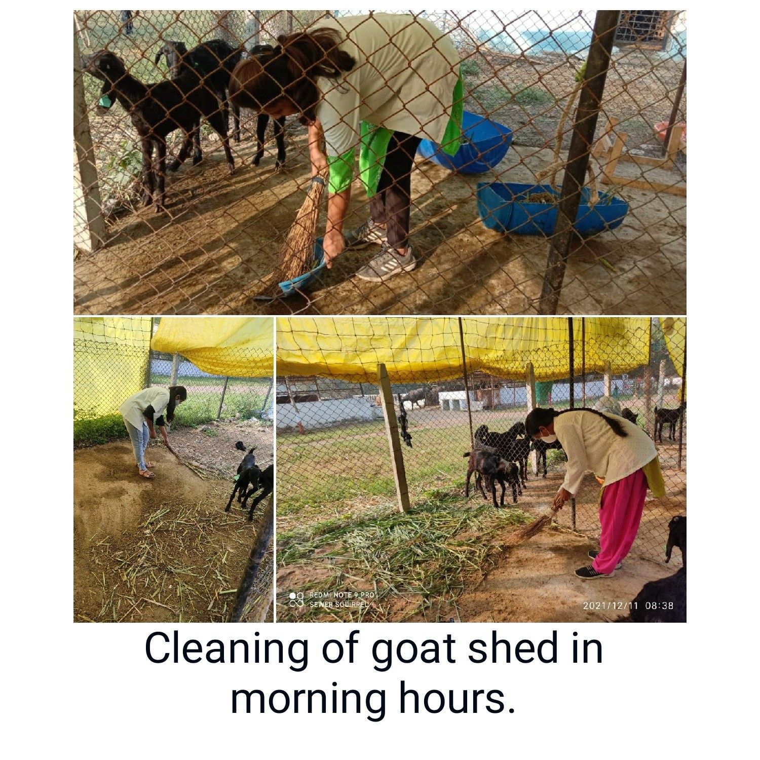 COVASPBN - Livestock Production Management